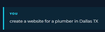 User: create a website for a plumber in Dallas TX
